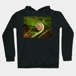 Fern Spiral Hoodie